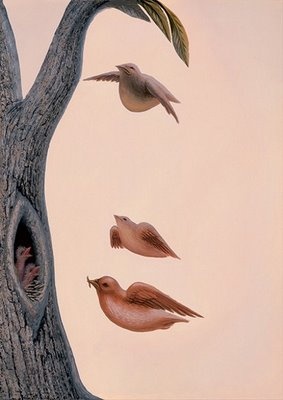 Photo:  birds or face